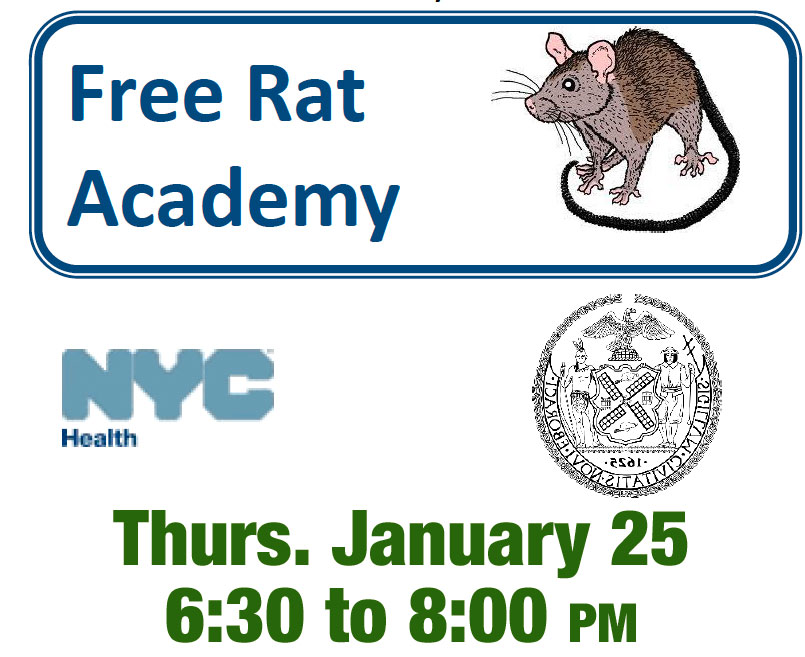 2018-Rat-Academy