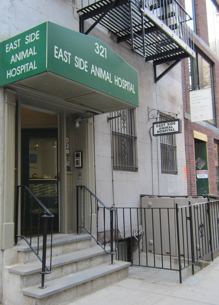 East Side Animal Hospital: Seventy Years of Pet Care in Turtle Bay